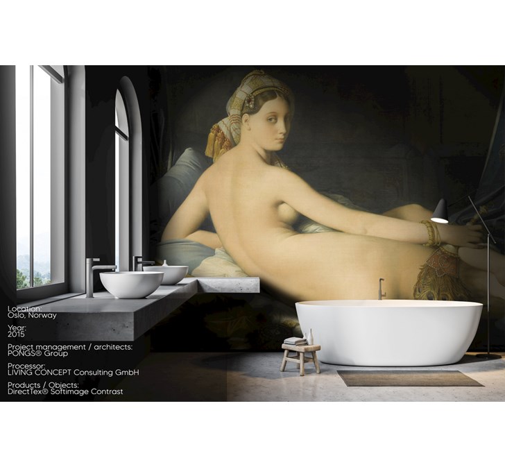Softimage Contrast<sup>®</sup> (DirectTex<sup>®</sup>)